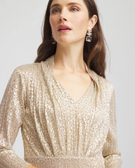 Petite Metallic Knit Pleated Maxi Dress